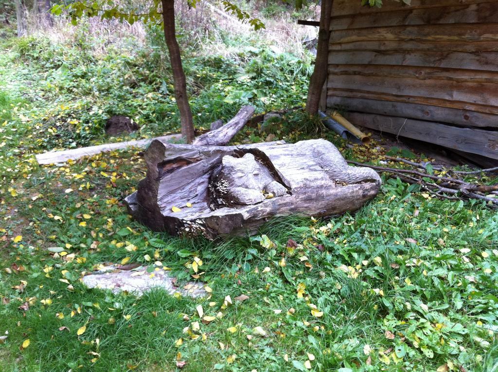 Chata Devena Valča Zimmer foto